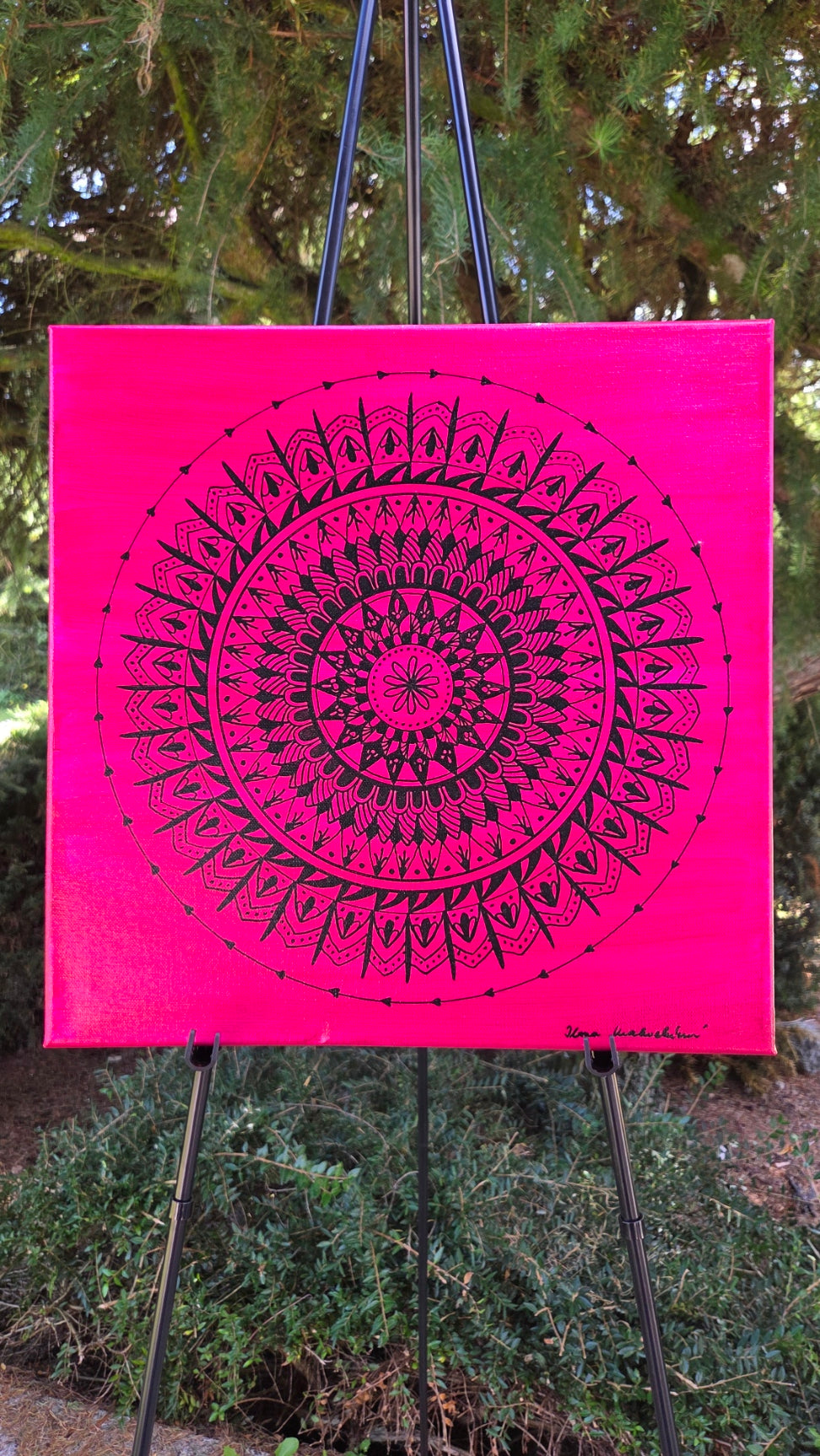 mandala magenta s černou